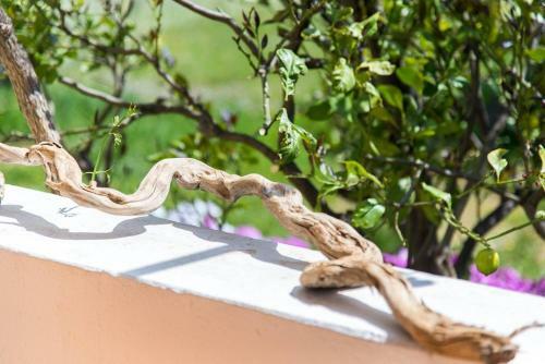 Nostos - Walk To Beach - AC Wifi