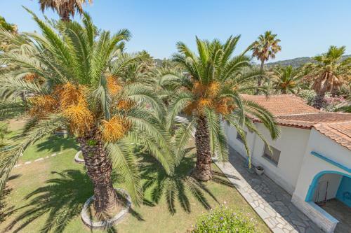Tropical Hotel Fourka