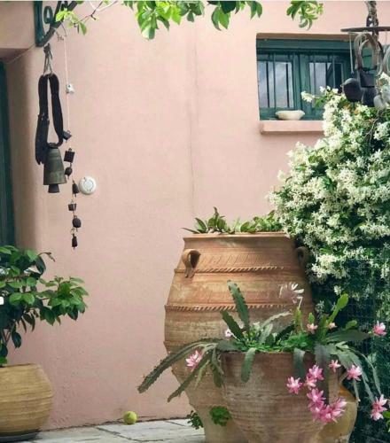 Apartamento Manona's Suite