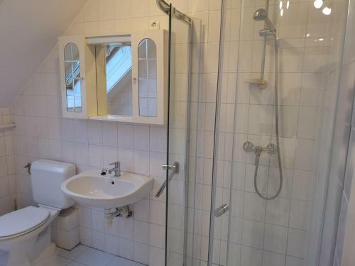 Apartman Kasz�s City