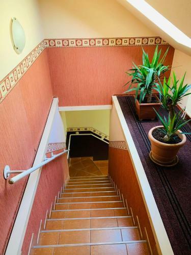 Bed & Breakfast Kinizsi Panzi�
