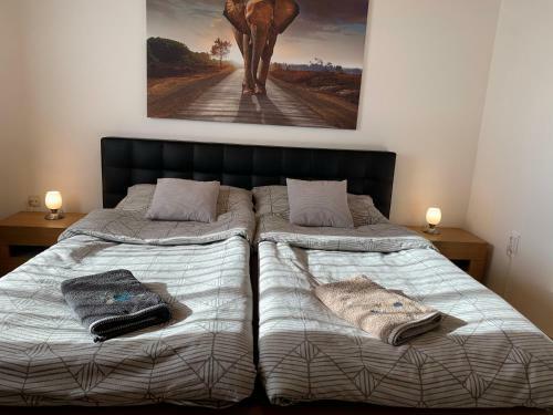 Apartman Tina Sol