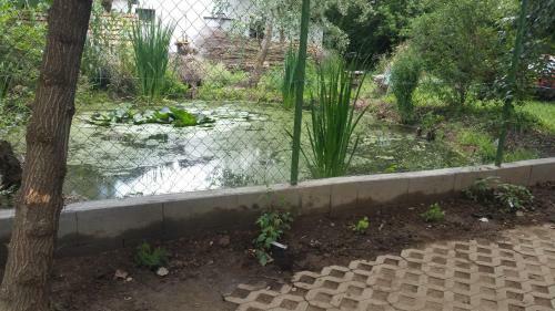 Hostal �l? Tisza Vend�gh�z