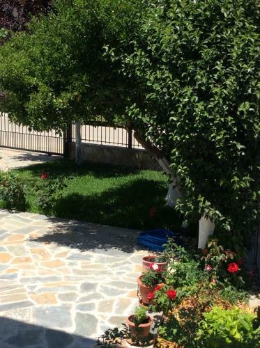 Apartamento Kardiakafti Village