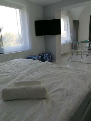 Aqua Solar Apartmanh�z