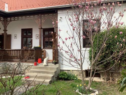 Apartamento Magnolia Garden