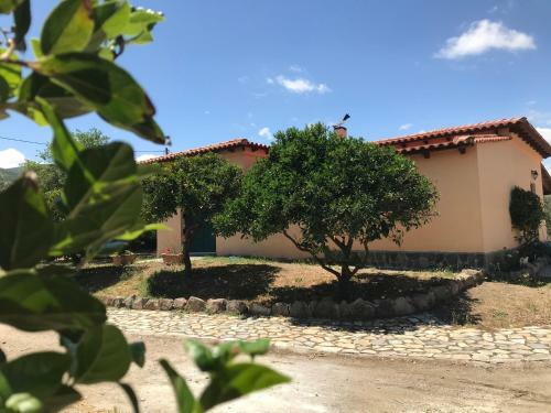 Agroturismo Country House