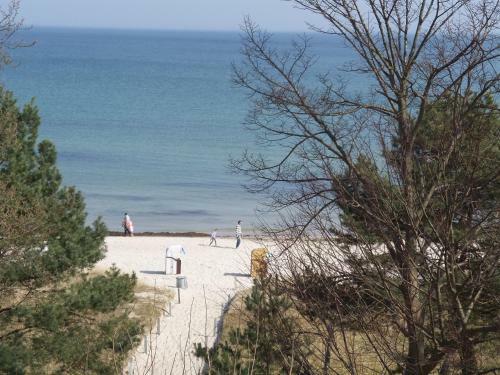 Apartments Villa Sirene