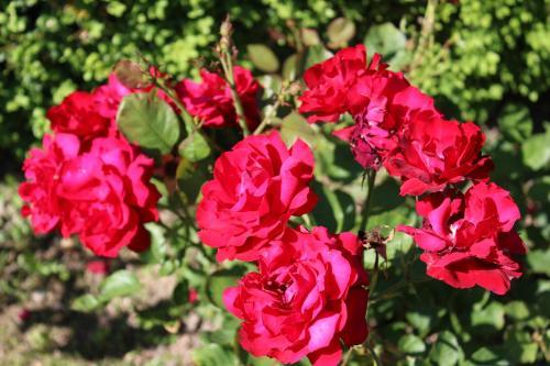 Bed & Breakfast Chambres D'h�tes Les M�neaux