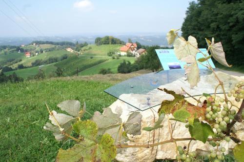 Hostal Pension Andrea