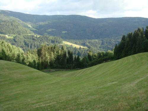 Apartamento Ferienwohnung Lahnerhof