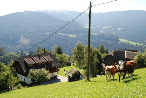 Apartamento Ferienwohnung Lahnerhof