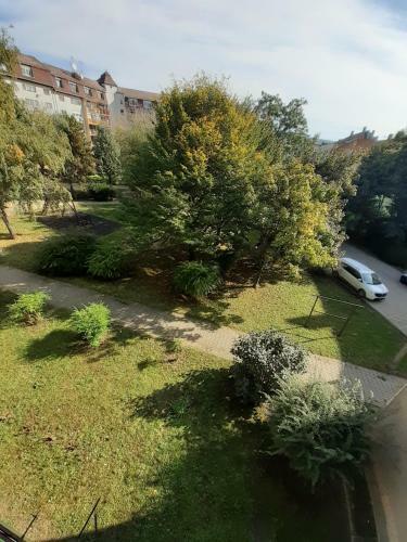 Central Plaza Apartman