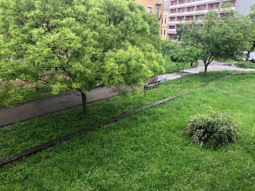 Kelemen Apartman Nagykanizsa