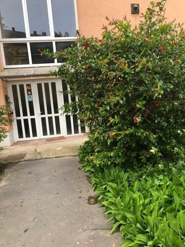 Kelemen Apartman Nagykanizsa