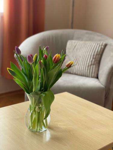 Apartamento Centroom Nagykanizsa