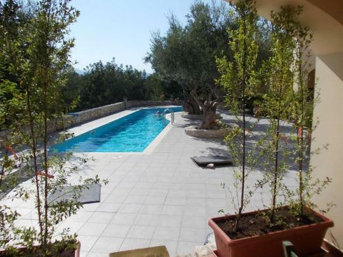 Marilena Apartment Olive Tree
