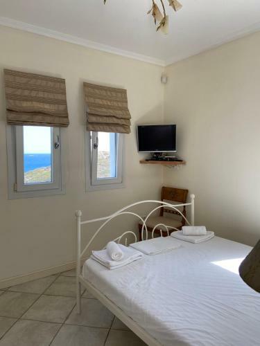 Hostal Andros Homes Sea Side Apartment & Studio
