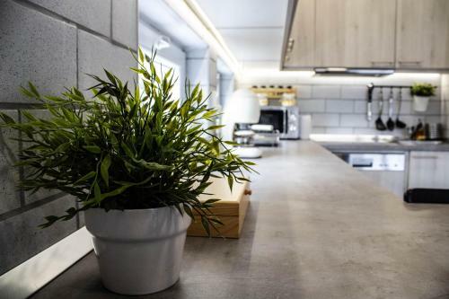 Apartamento Aranyos Vend�gh�z