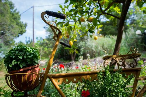 Villa Aphrodite's Coast Retreat House!