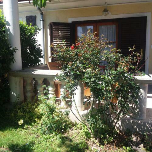 Hostal Szigony Vend�gh�z