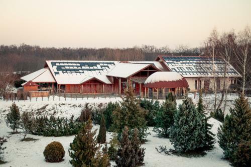 Hostal Robinia Rooms