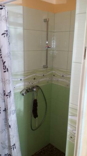Hostal Zeg-zug Vend�gh�z