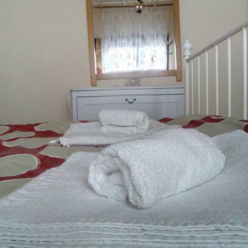 Village House Grevena