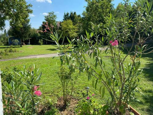 Little Paradise Camping Und Ferienbungalow