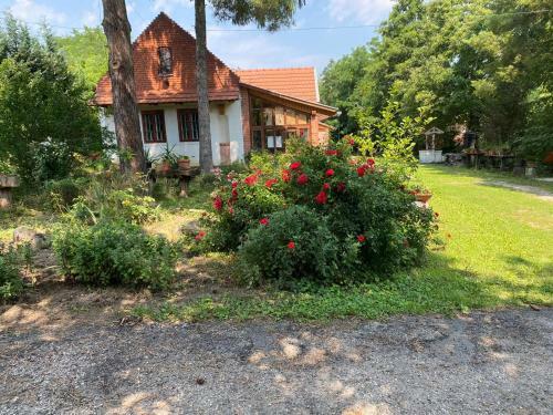 Little Paradise Camping Und Ferienbungalow