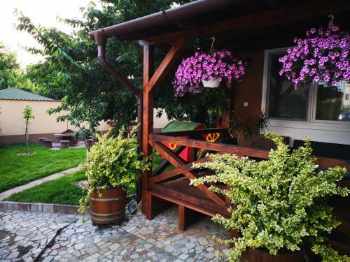Bed & Breakfast Napsug�r Panzi�