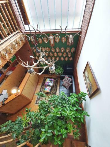 Bed & Breakfast Napsug�r Panzi�