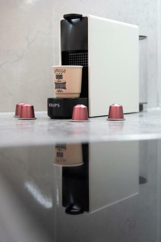 Luxury Autonomous Ground Floor Apartment