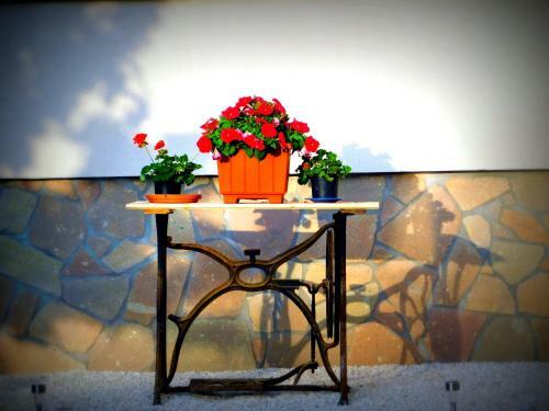 Hostal Boutique Vend�gh�z Vid�ki Idill Noszvaj