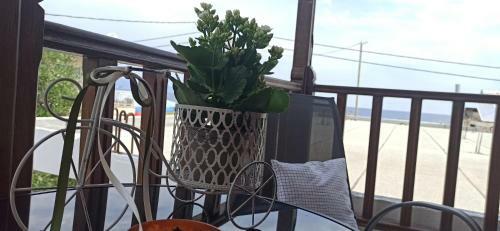Apartamento Villa Evgenia(leonidas)