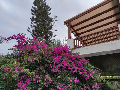 Apartamento Melia's House