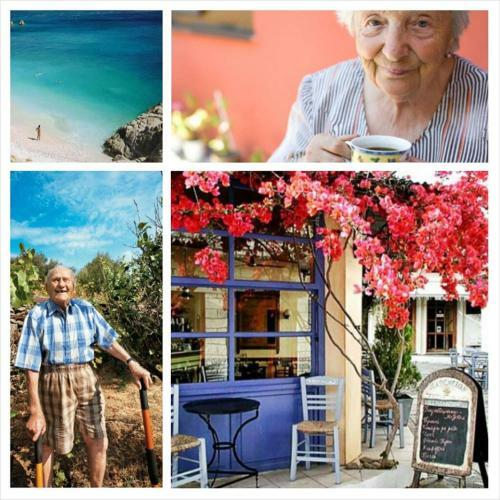 Mama's Summer Homes