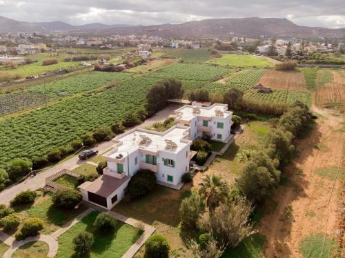 Divina Seaside Apartments