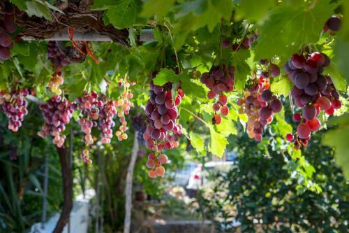 Apartamento Manianna Appartments -ierapetra
