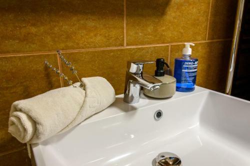 Apartamento Tulip�n Vend�gh�z