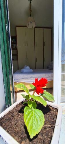 Amazing Corfu Villa Rania Located In A Quite And Private Area