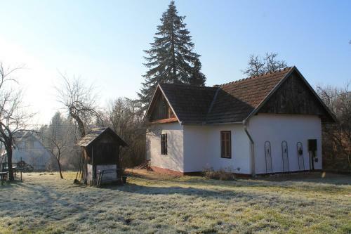 �ri Koma Vend�gh�z