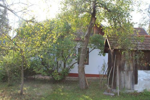 �ri Koma Vend�gh�z