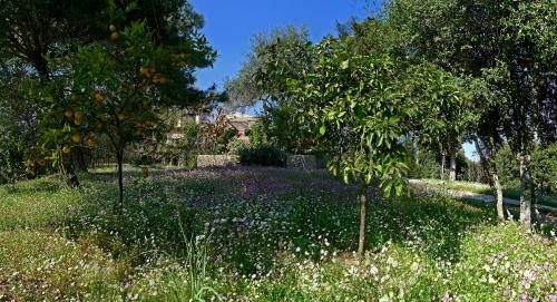 Xenonerantzia Villa With Pool