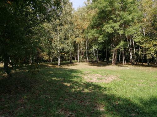 ?rs�gi Mazsola Vend�gh�z