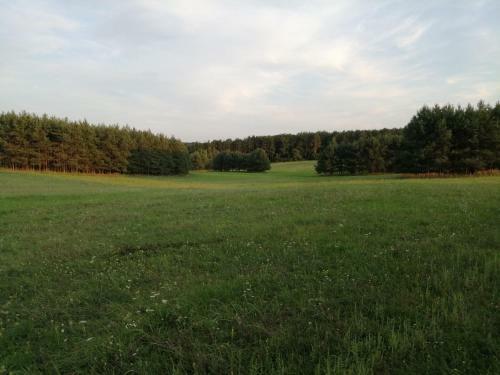 ?rs�gi Mazsola Vend�gh�z