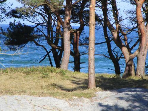 Apartamento Strandapartment Meeresrauschen Prora Binz Eg