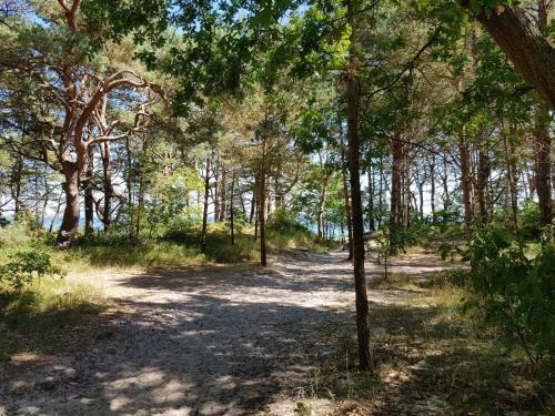 Apartamento Heimathafen Prora, 3.og Mit Meerblick