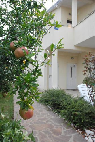 Hostal Apartmani Radin