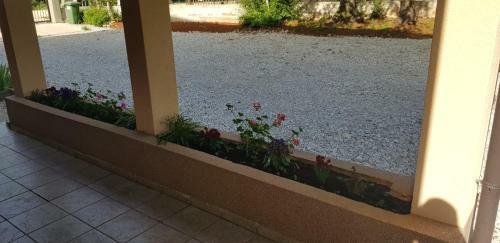 Apartments Fiume